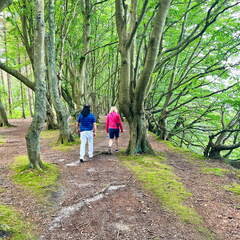 24-07-01 11-49-23 0062